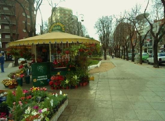 Luminoso Departamento,Con Cochera Zona Centro Mar del Plata Exterior foto